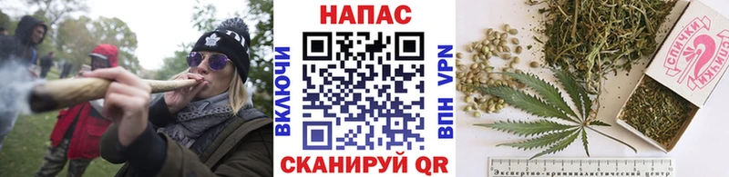 Бошки Шишки OG Kush  Купить  Остров 